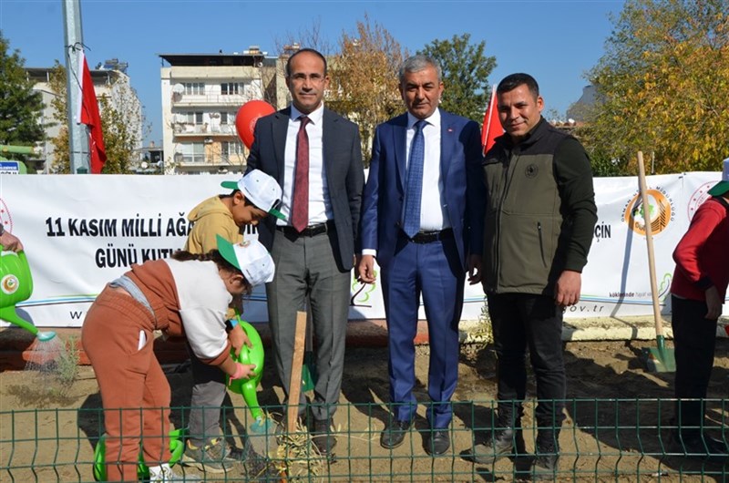 ağaç dikimi