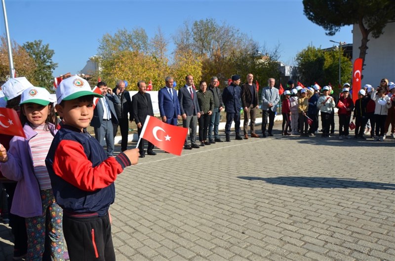 ağaç dikimi