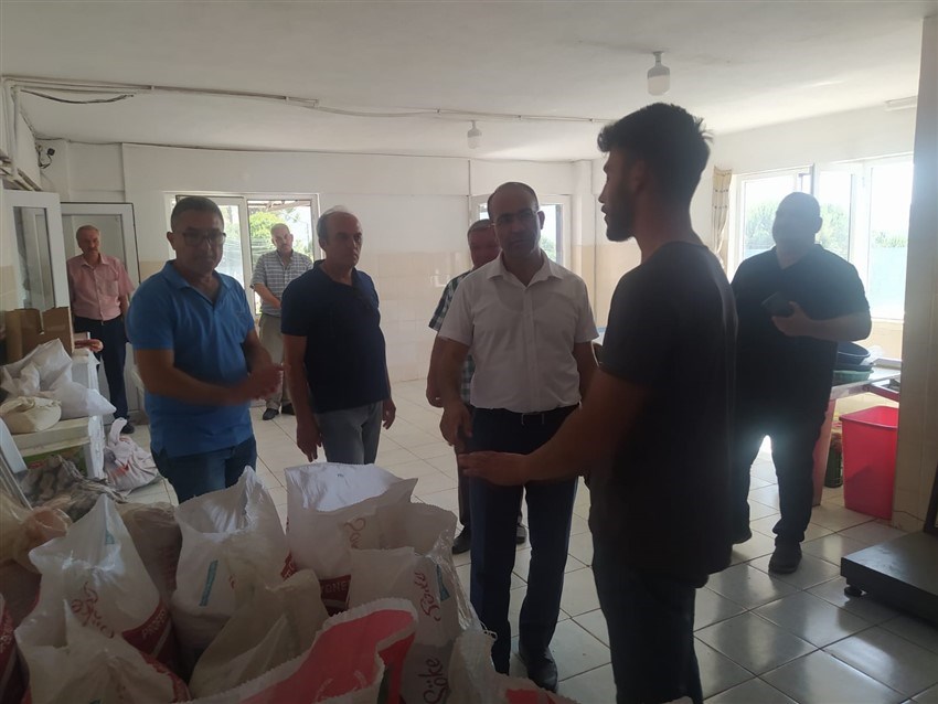 Kazım DEMİR Çam Fıstığı İşletmesi 