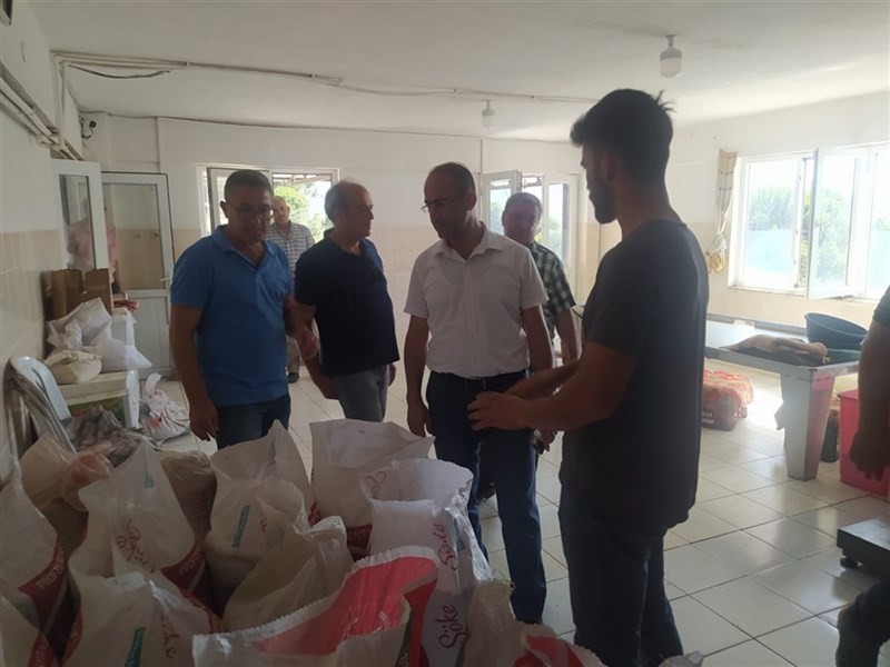 Kazım DEMİR Çam Fıstığı İşletmesi 