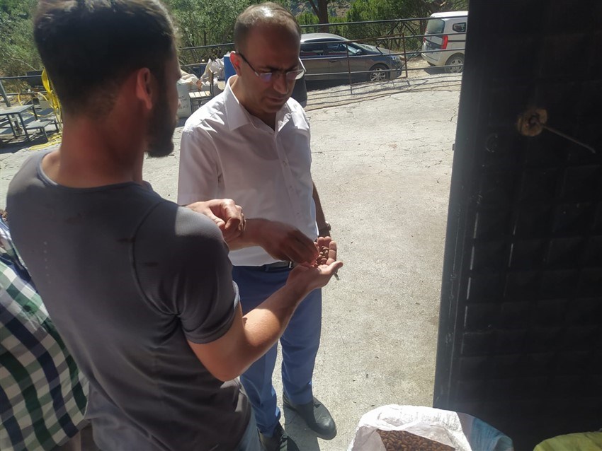 Kazım DEMİR Çam Fıstığı İşletmesi 